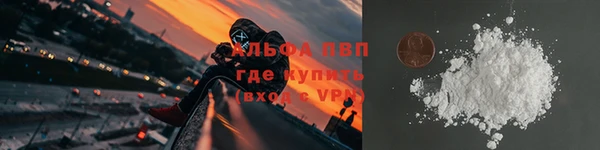 сатива Баксан