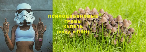 сатива Баксан